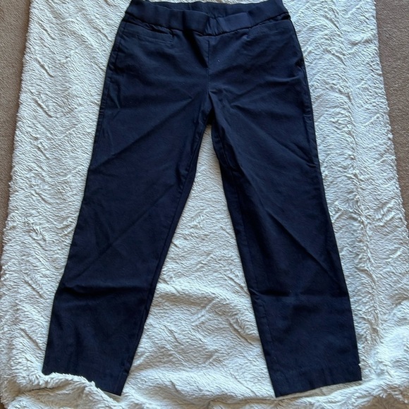 Briggs Petite Blue Capri Size 10PS - Picture 1 of 5
